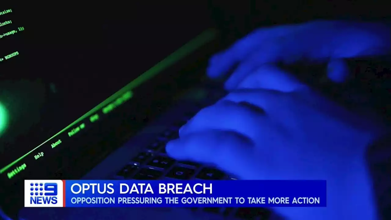 Cyber-security expert warns stolen Optus data 'still out there'