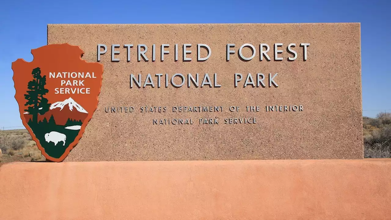 Man arrested after shooting at Petrified Forest National Park