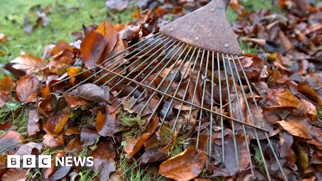 Garden waste fee across North Northamptonshire being introduced