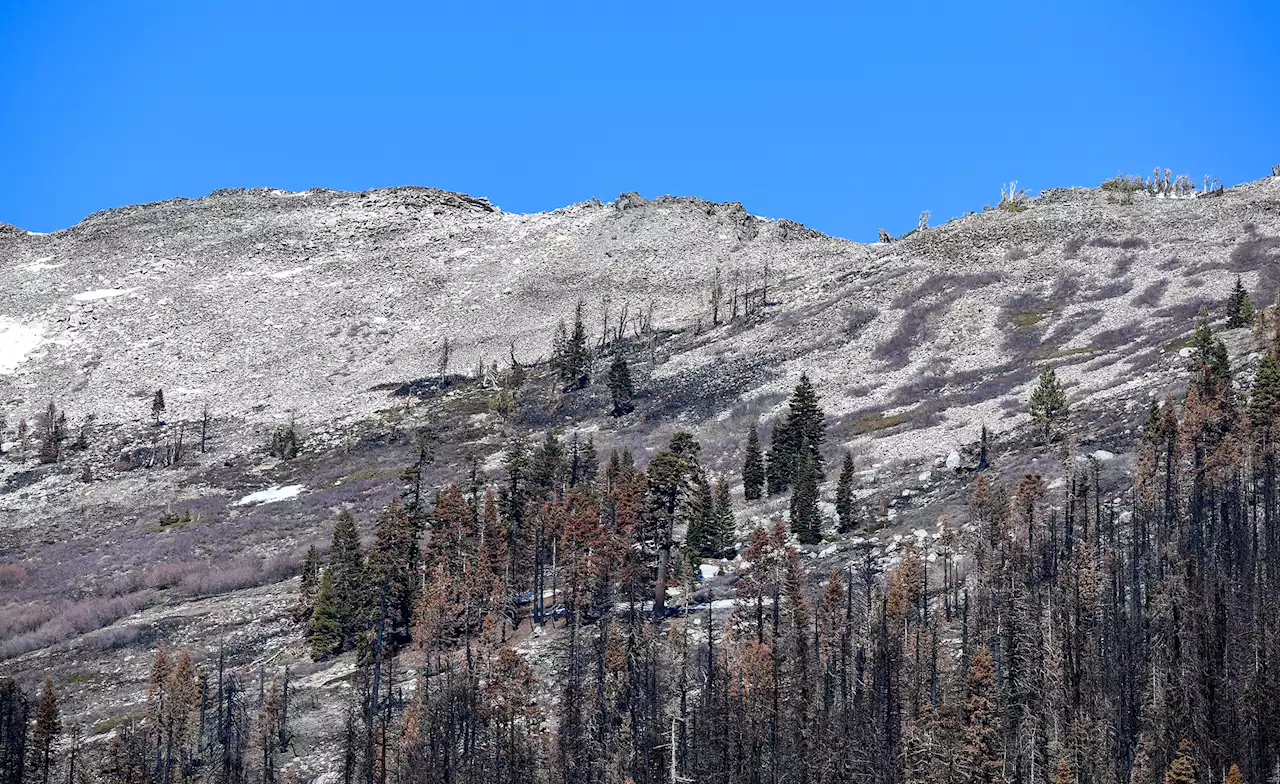 Four in a row: California drought likely to continue