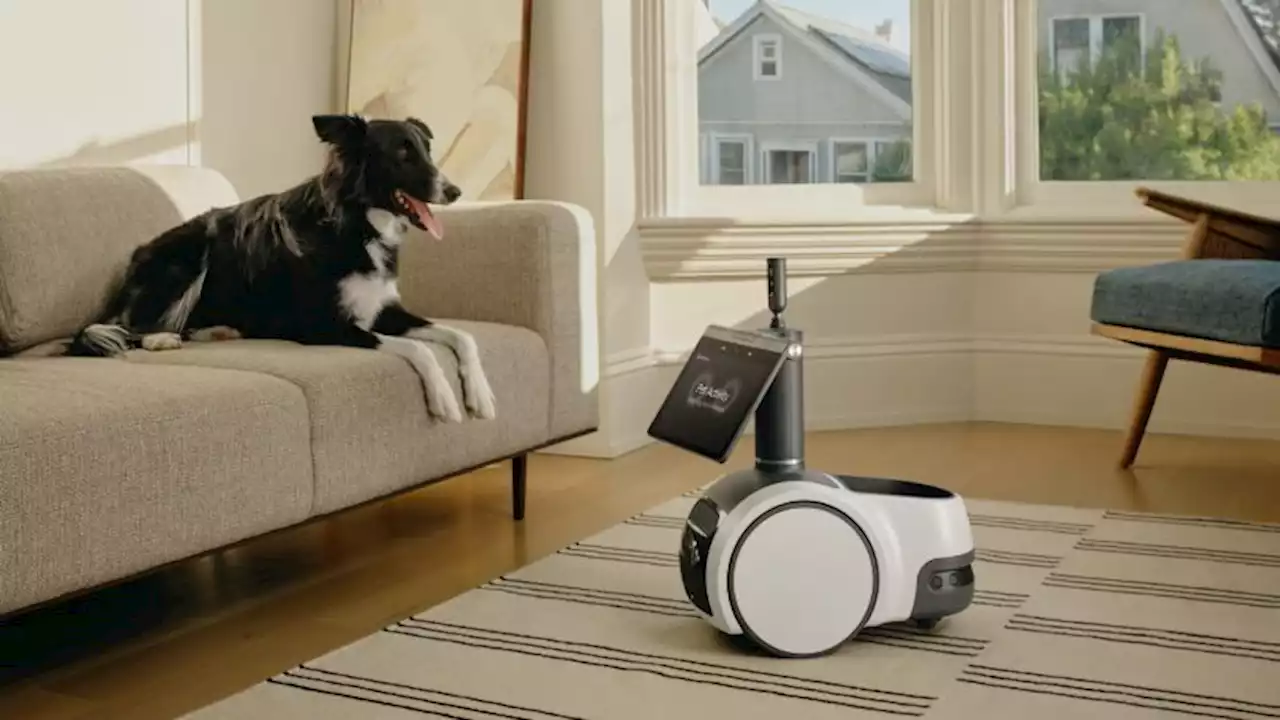 Amazon's $999 dog-like robot is getting smarter | CNN Business