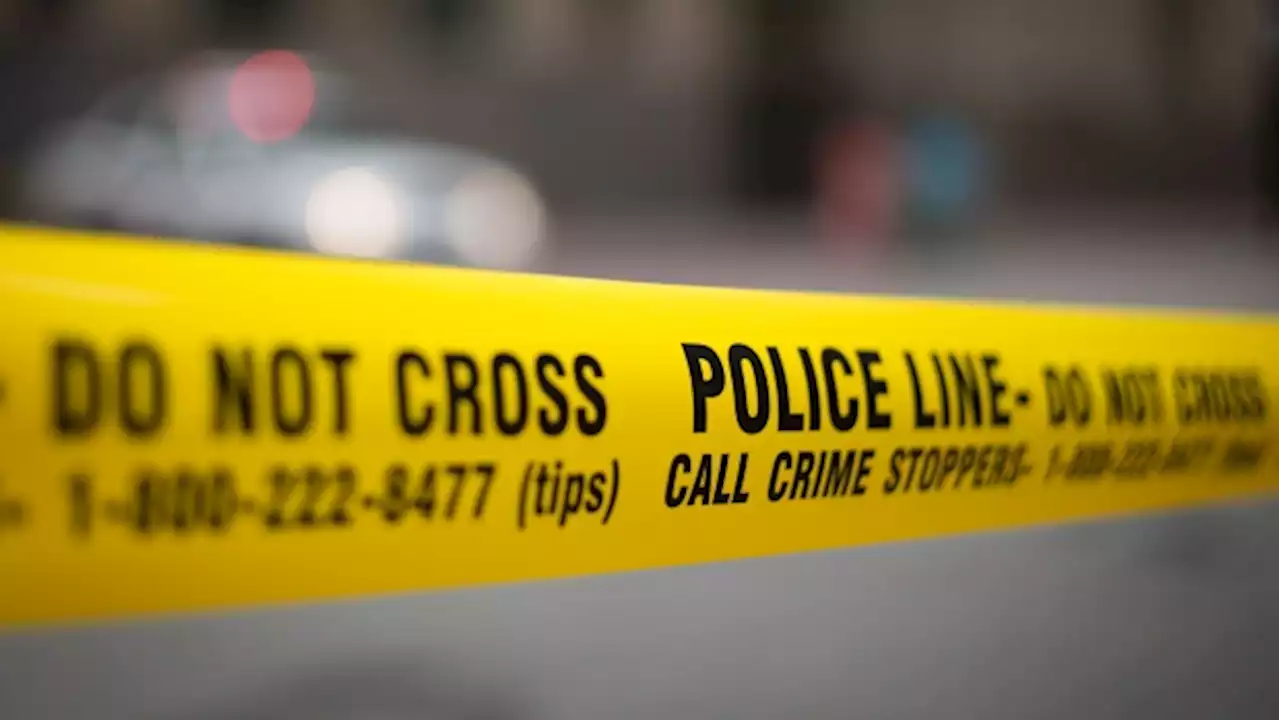 Man shot following reported altercation between drivers in Scarborough: police