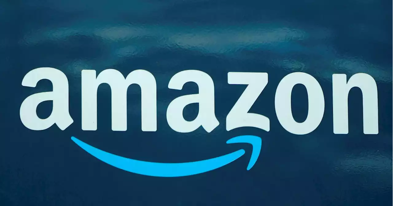 Amazon warehouse in Texas closes temporarily due to bed bugs