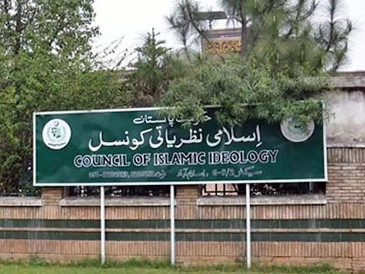 ٹرانس جینڈر ایکٹ میں کئی دفعات غیر شرعی ہیں، اسلامی نظریاتی کونسل - ایکسپریس اردو