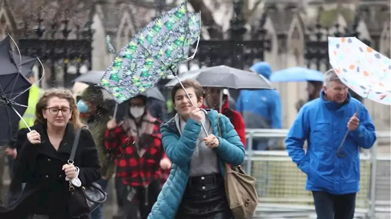 Met Office warns of 'severe' 55mph winds as temperatures plunge