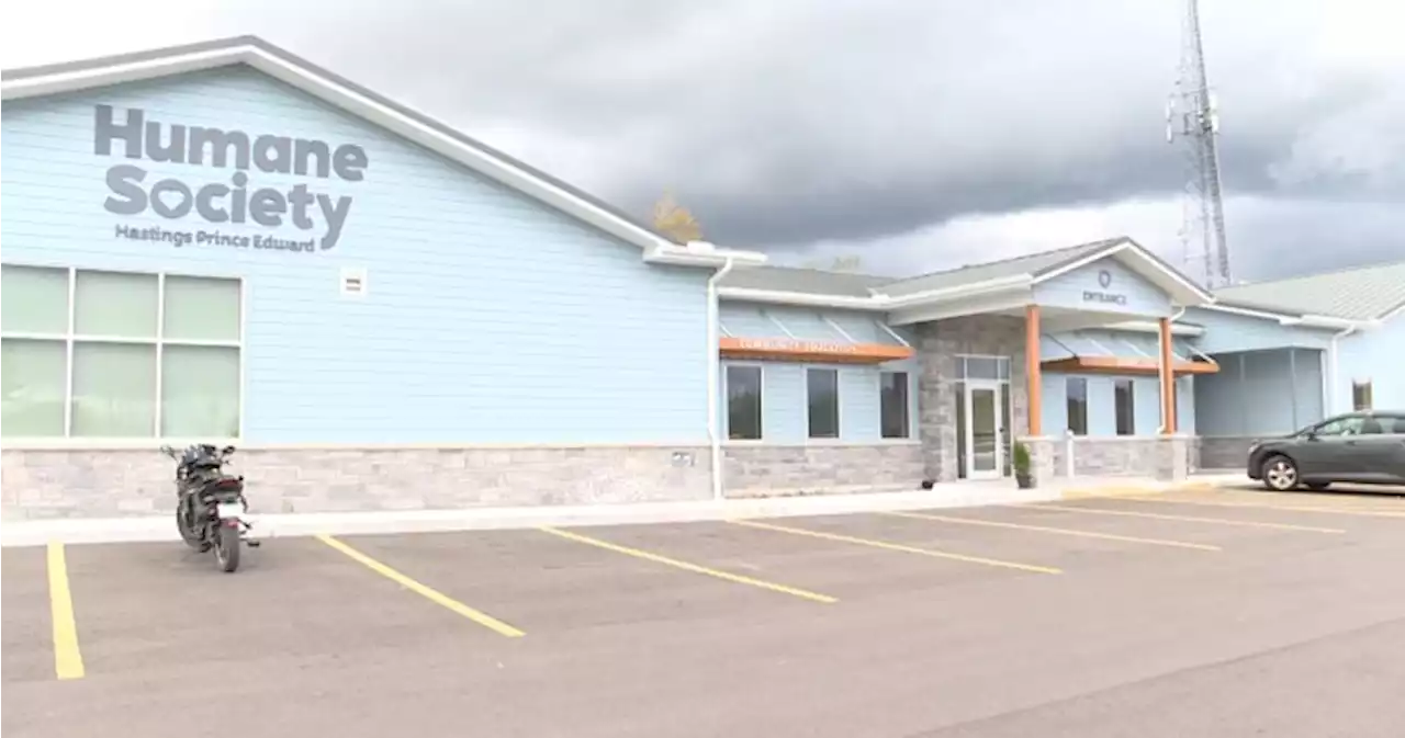 Humane Society HPE opens new facility in Belleville, Ont. - Kingston | Globalnews.ca