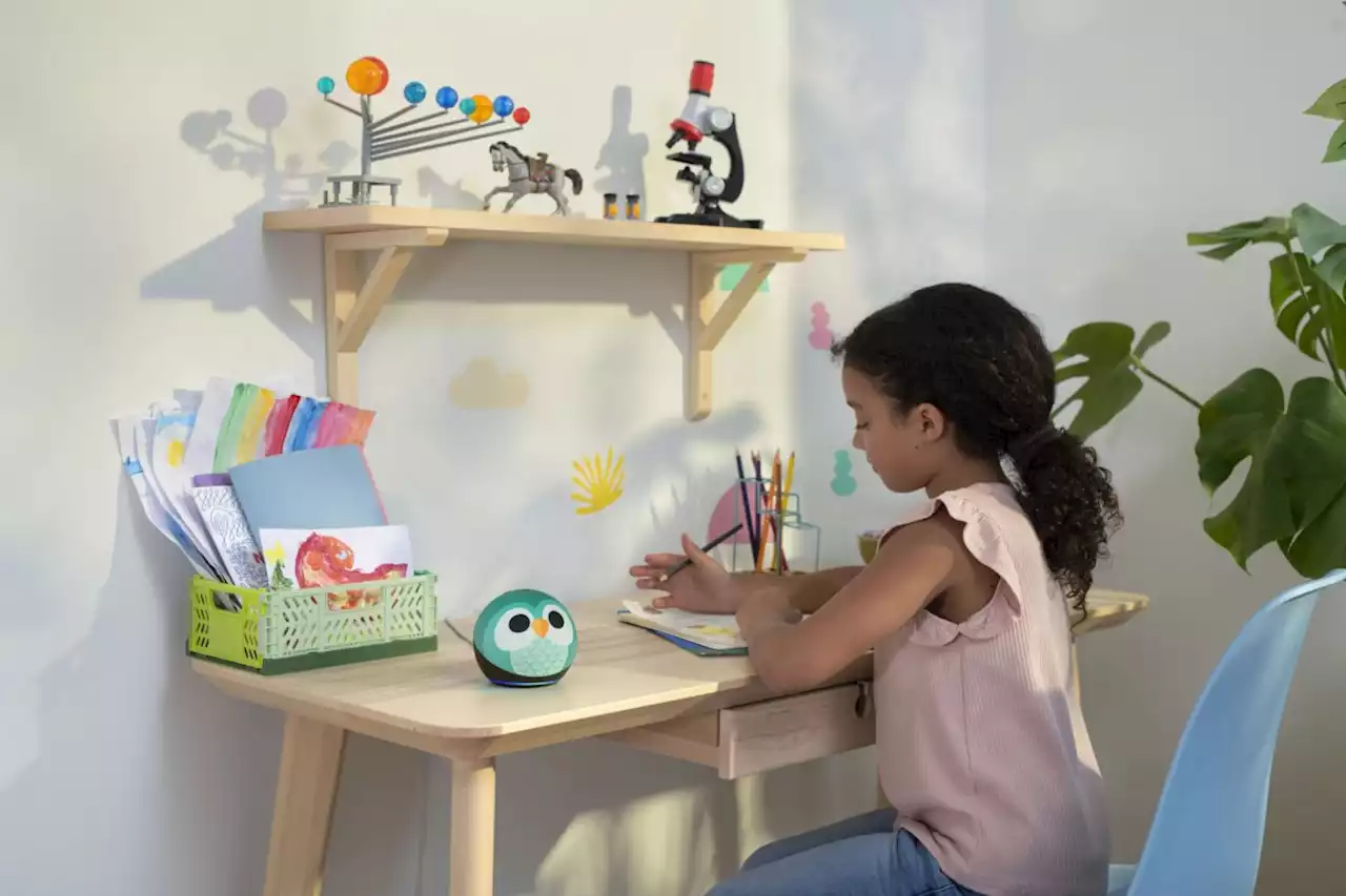 Amazon weitet Kids-Programm auf Alexa aus – und bringt speziellen Lautsprecher