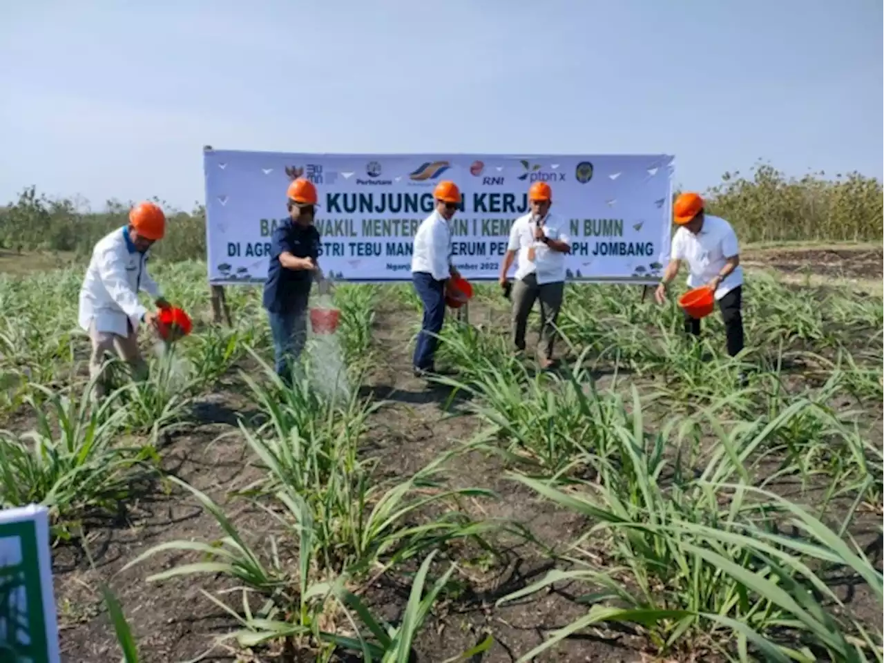 Kementerian BUMN Dorong Perhutani Bantu Produksi Gula Nasional