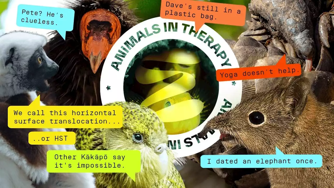 The term ‘vulnerable species’ takes on a new meaning in new digital series