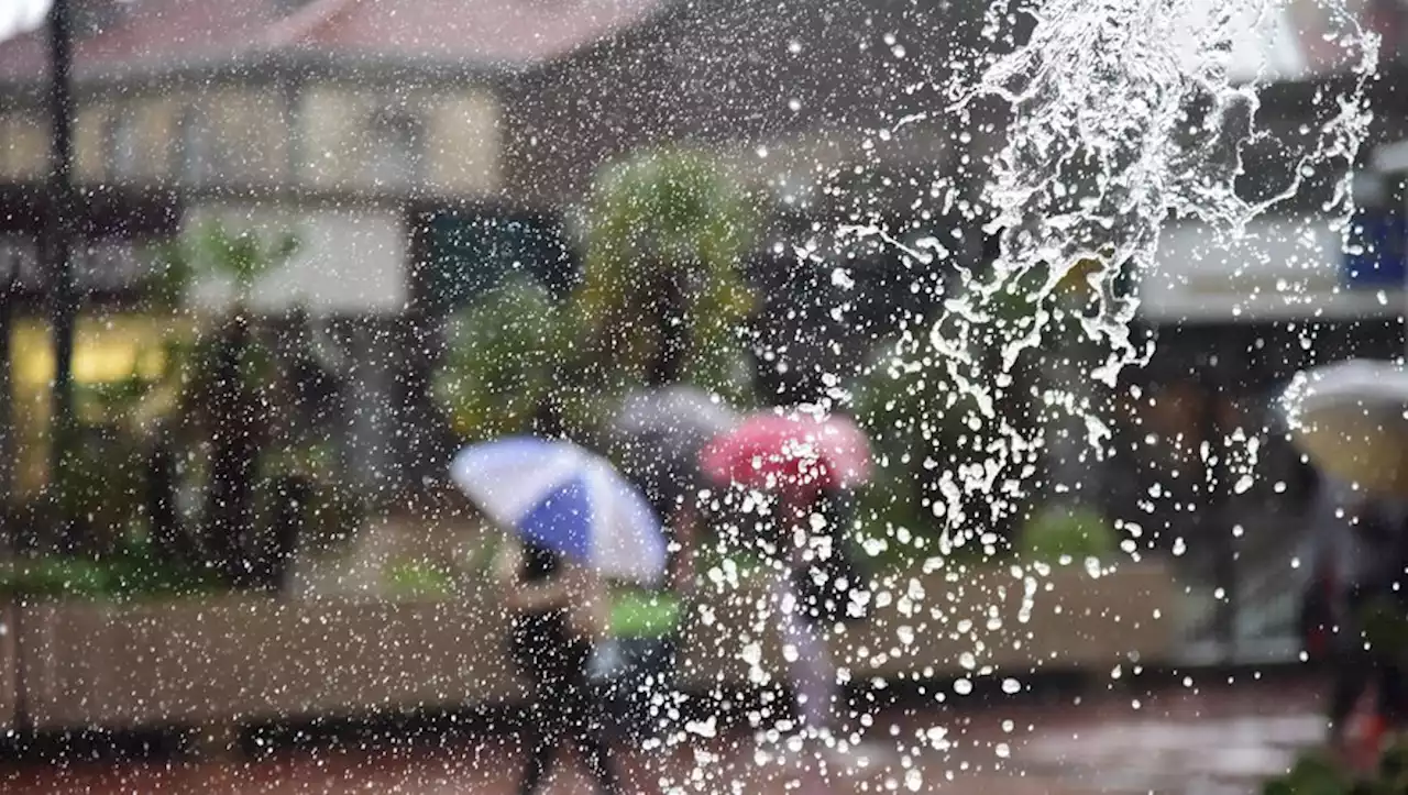 Alerte Météo : un département du sud placé en vigilance orange pluie et inondation