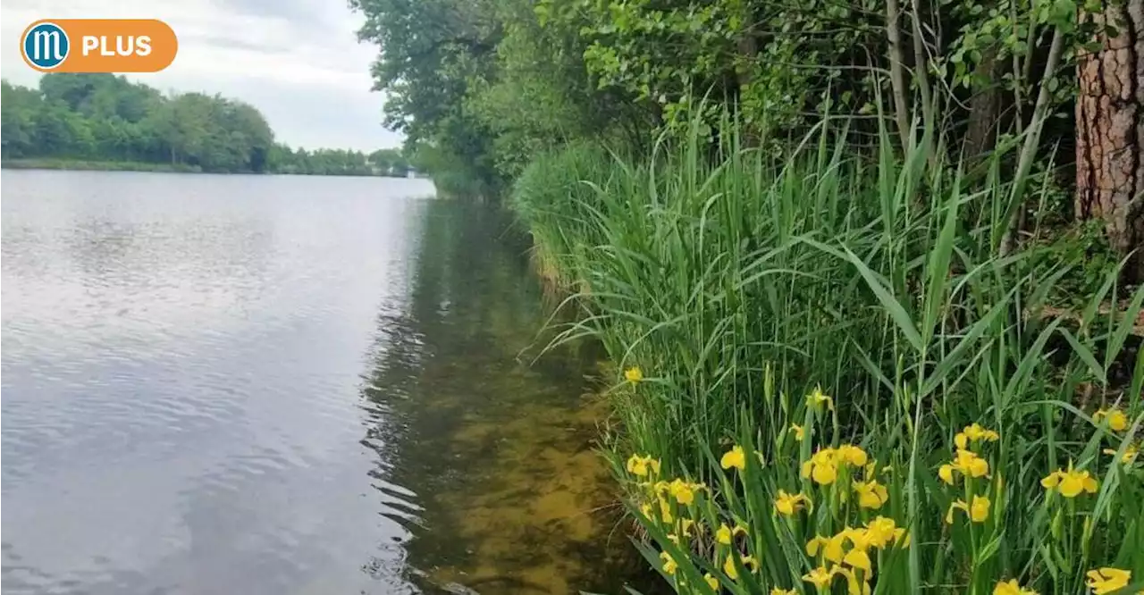 Bewährungs- und Geldstrafen für Attacke auf zwei Angler