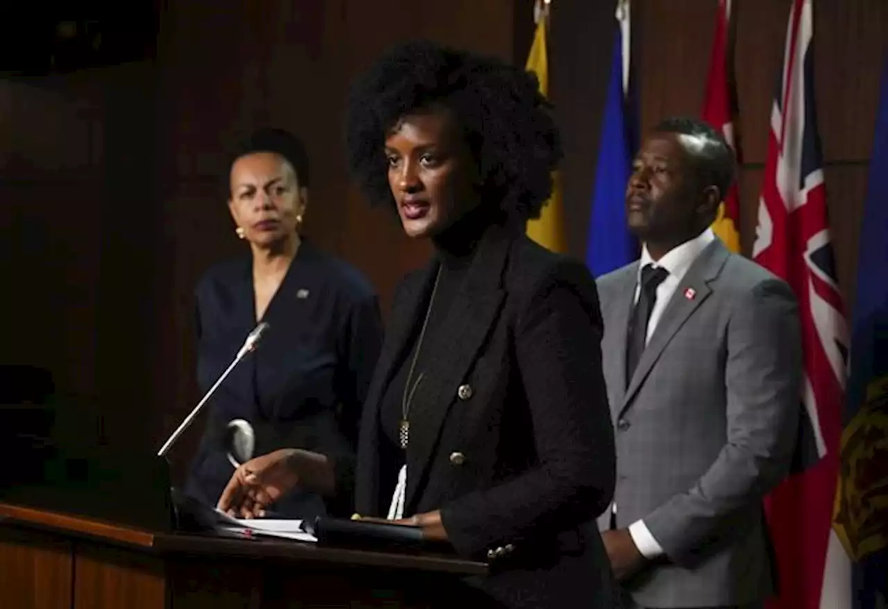 Black civil servants file complaint to United Nations, citing racism | National Newswatch