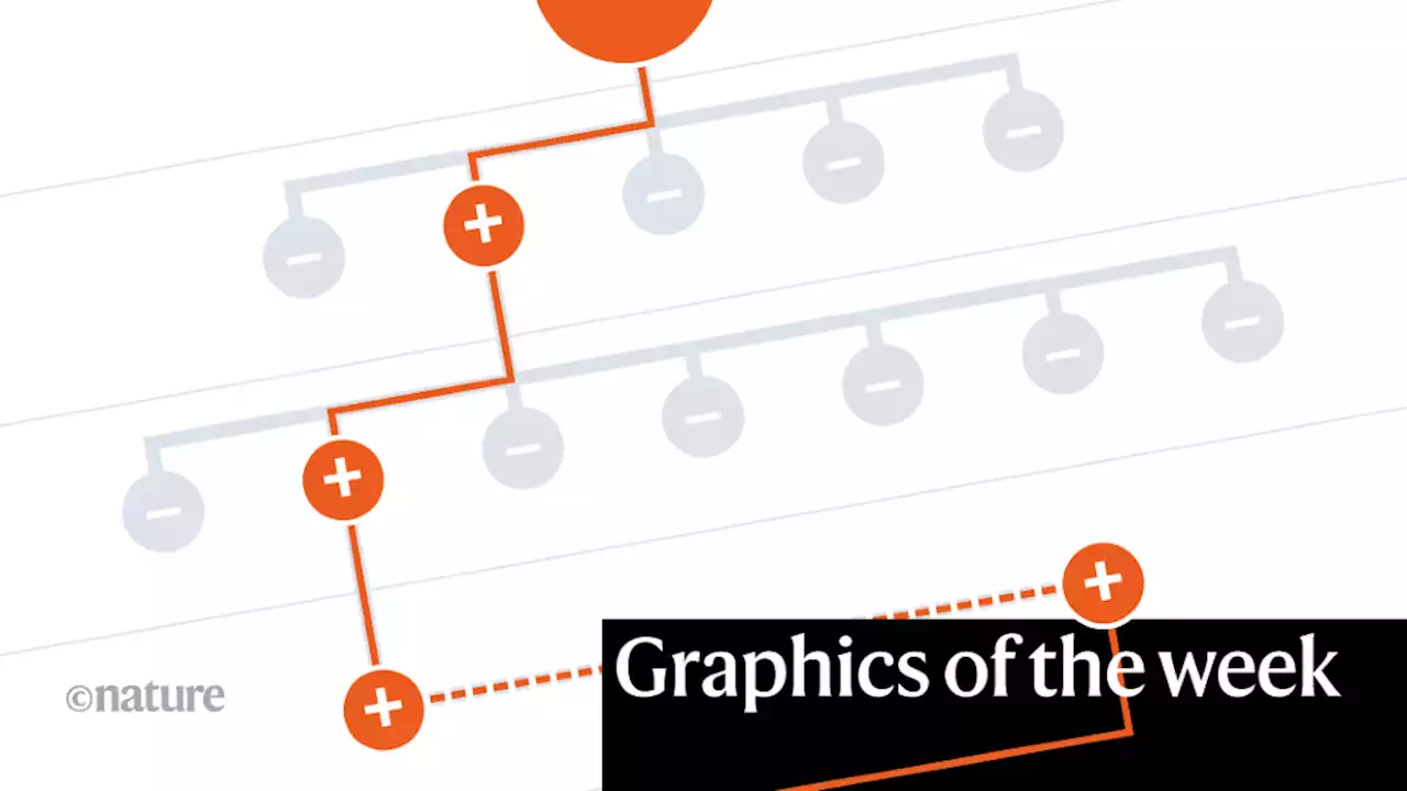 Asteroid crash, COVID sleuths — the week in infographics