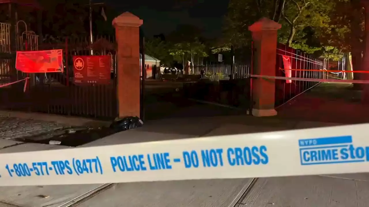 10 Hurt, Including 4 Bystanders Shot in Park, in 3 Separate Harlem and Queens Shootings