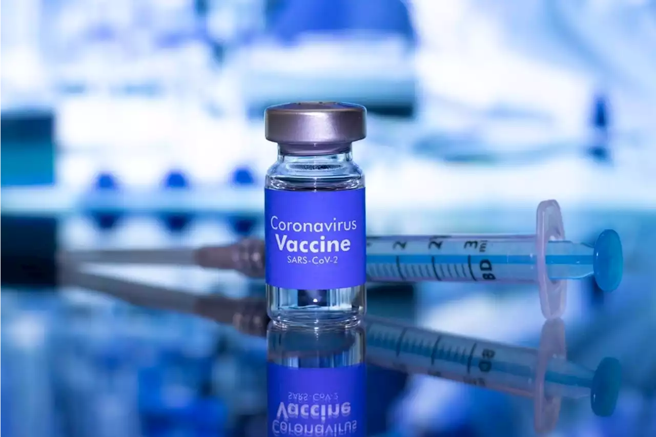 COVID-19 cases, hospitalizations, and fatalities prevented by SARS-CoV-2 vaccination within the first 6 months after the vaccine became available