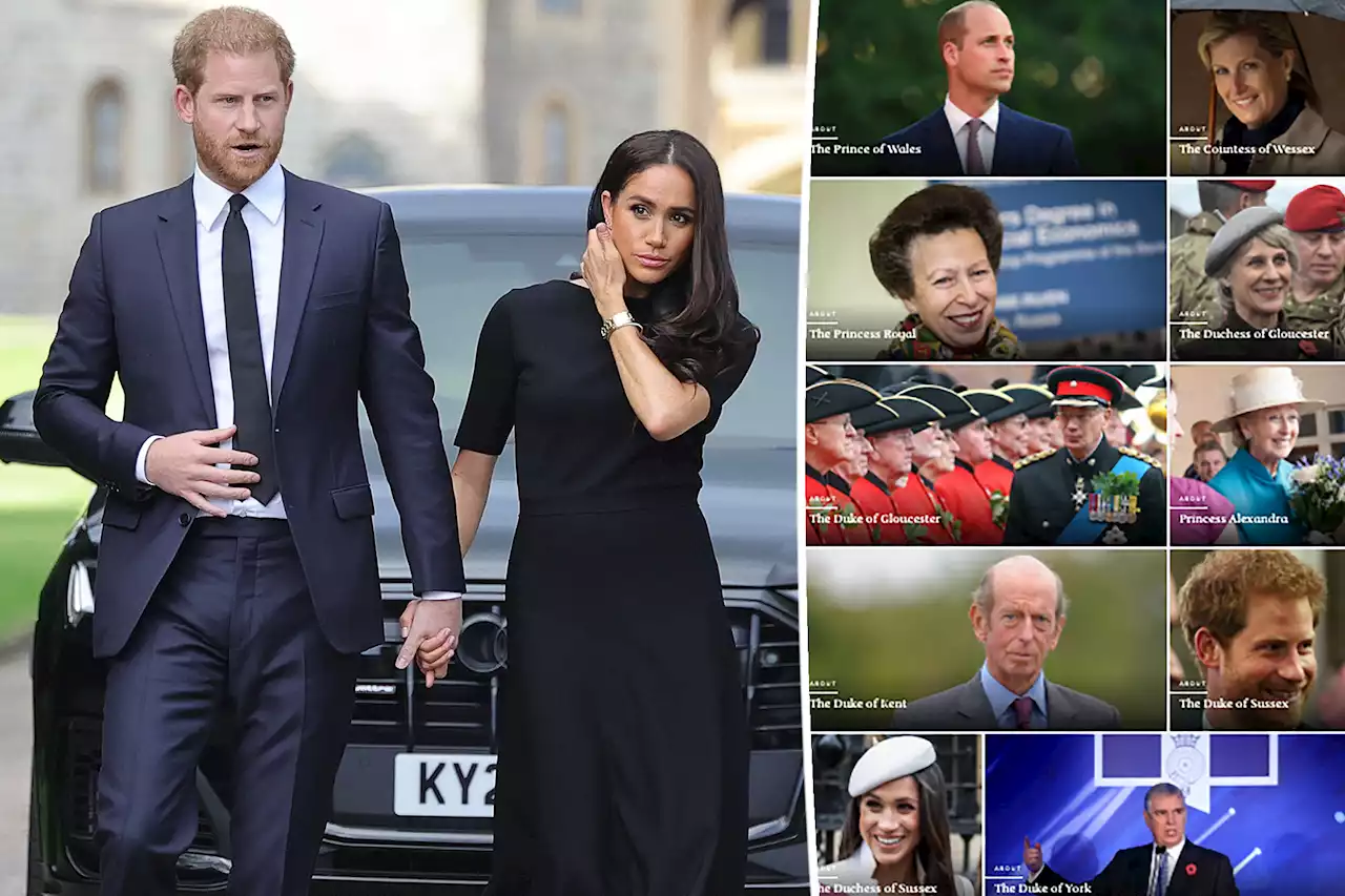 Prince Harry, Meghan Markle demoted on royal family official website amid rift