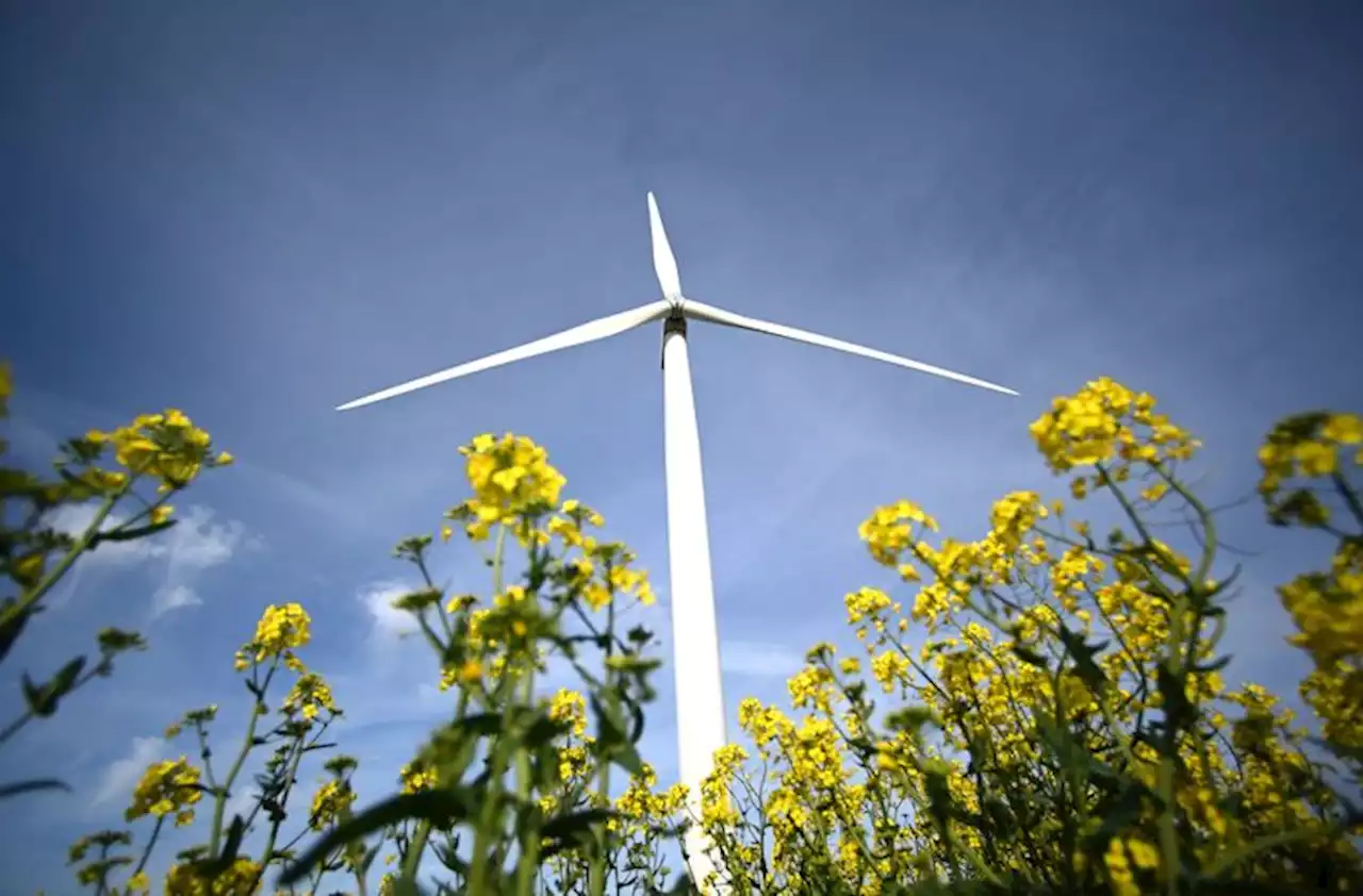 Inspectie: omwonenden windmolens onvoldoende beschermd tegen geluidsoverlast