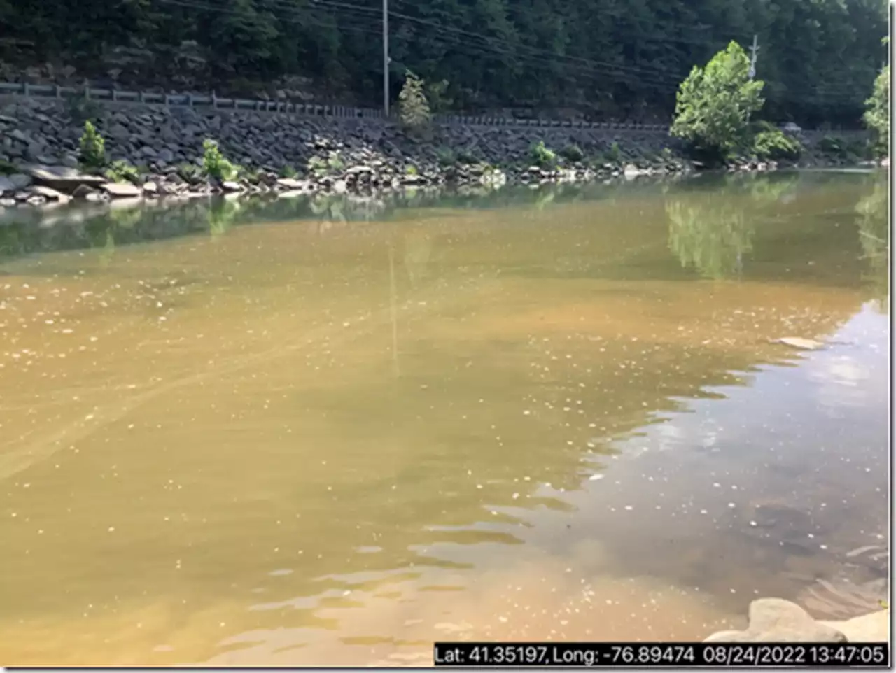 DEP sends violation notices to gas company over sediment issues in Pa. creek