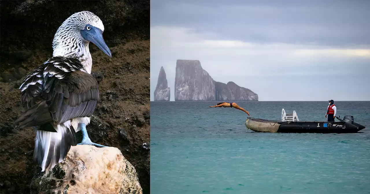 Photographing the Diverse Wildlife and Nature of the Galápagos Islands