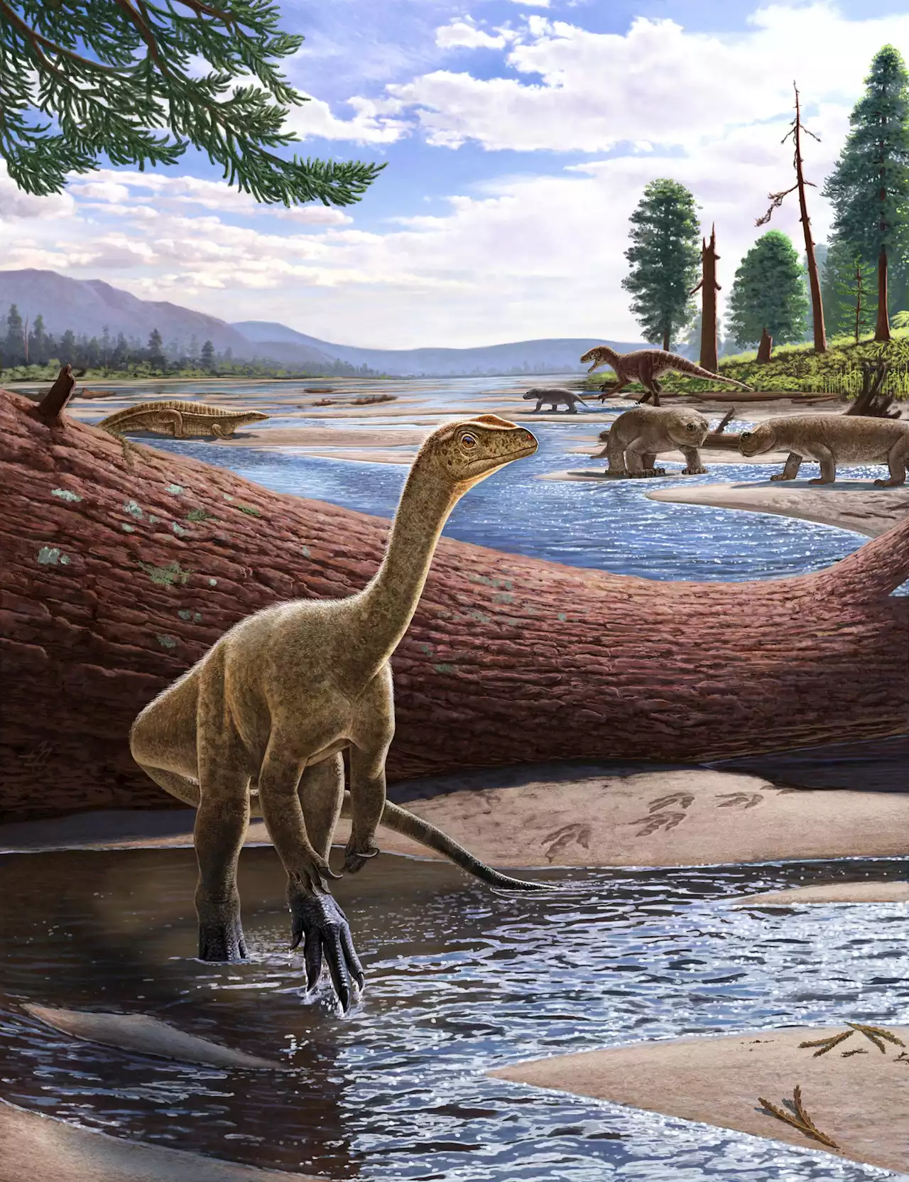 Over 200 Million Years Old – Scientists Discover Africa’s Oldest Known Dinosaur