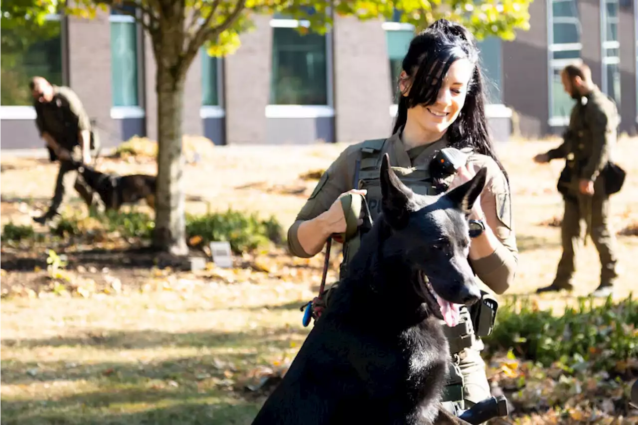 Newest deployment of B.C. police dogs already sniffing out crime – Terrace Standard