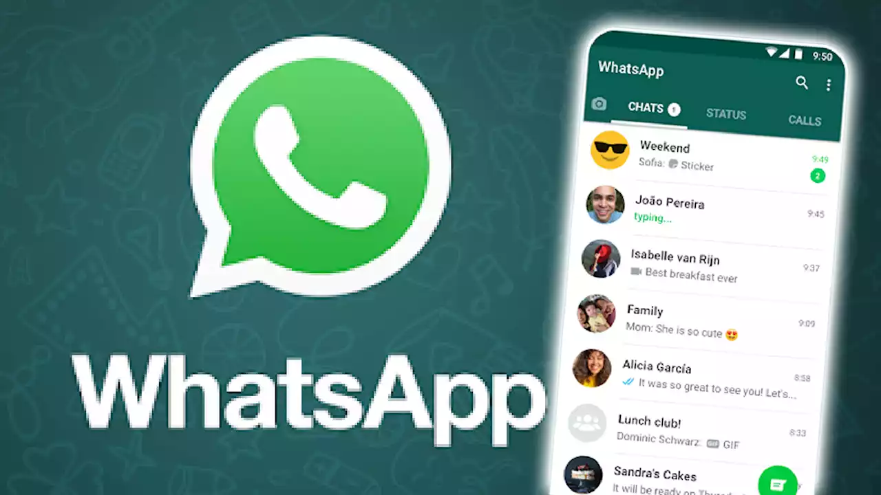 Every iPhone and Android user warned over new WhatsApp feature