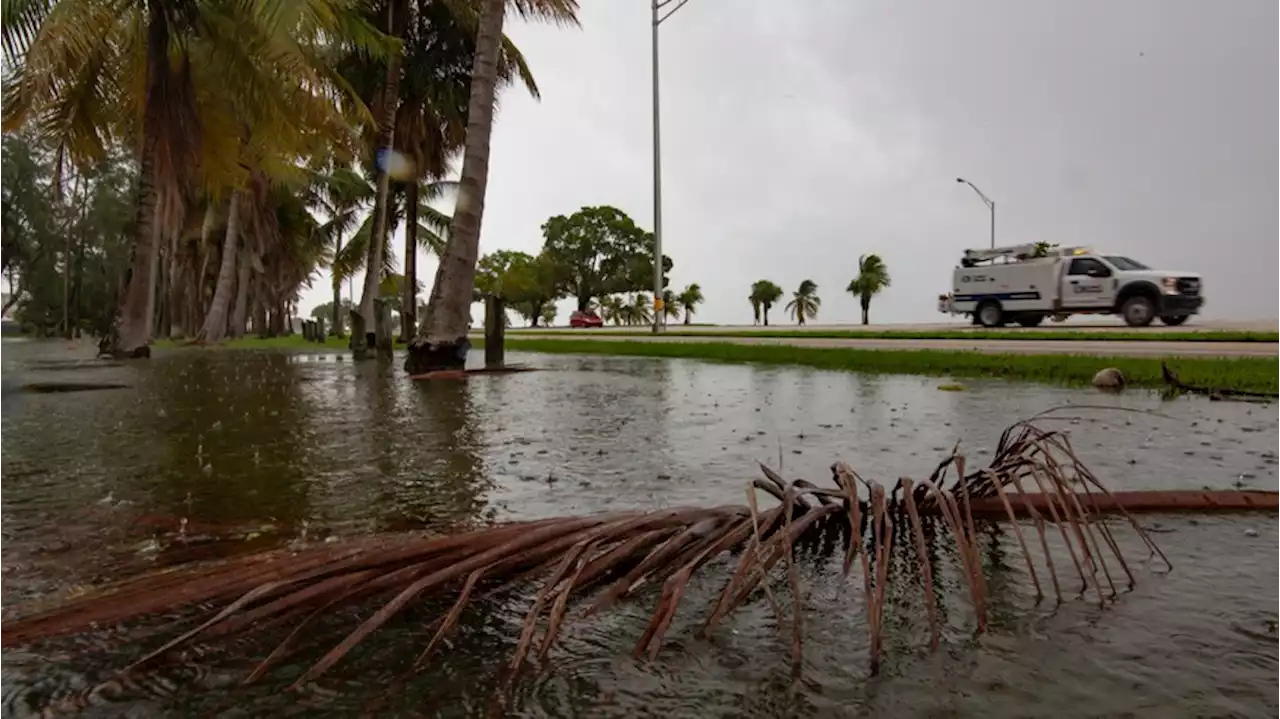 Hurrikan 'Ian' bedroht Florida: Diese Rechte haben USA-Urlauber