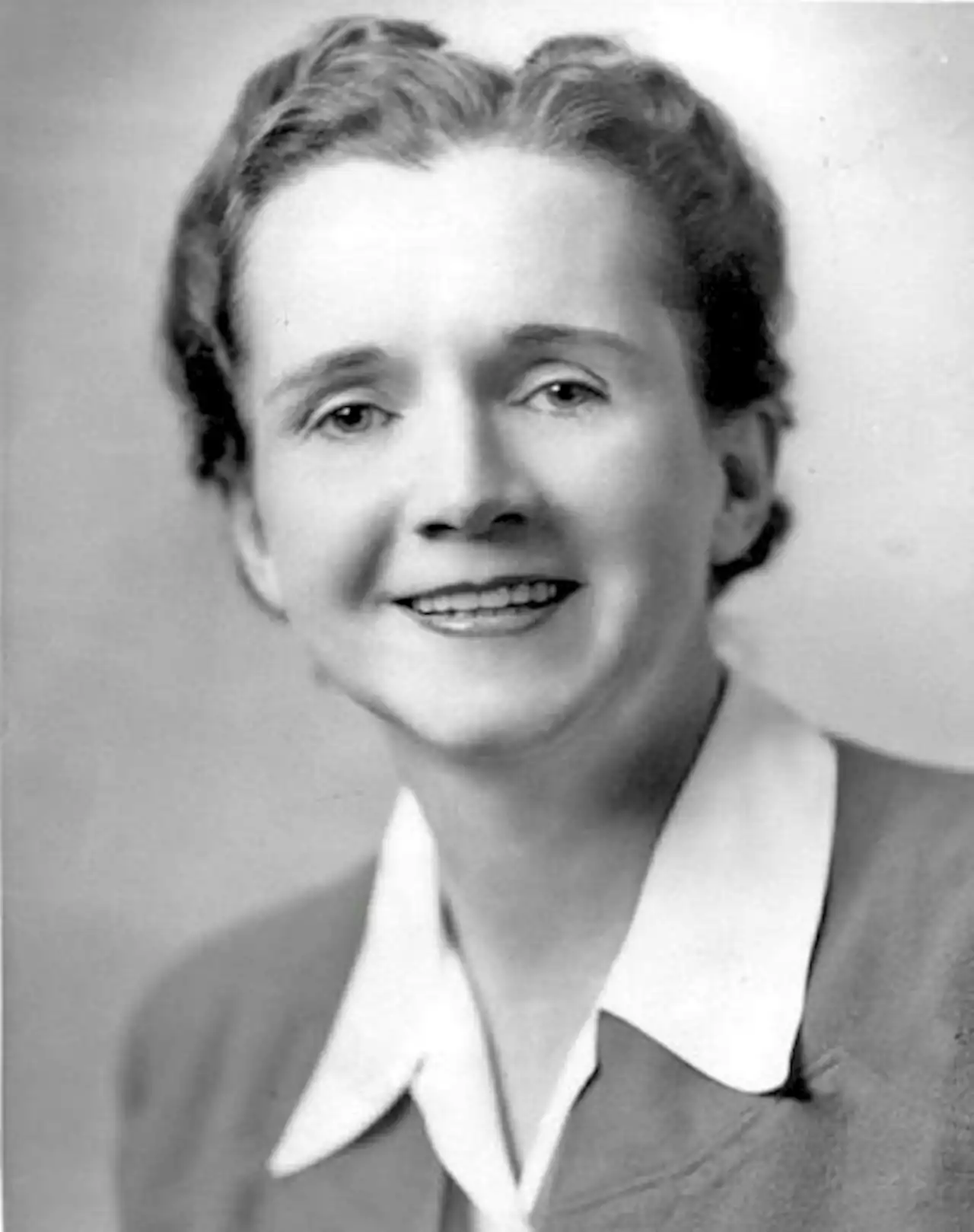 Rachel Carson Helped Launch the Environmental Movement With ‘Silent Spring’: Taking Stock After 60 Years - Women’s Media Center