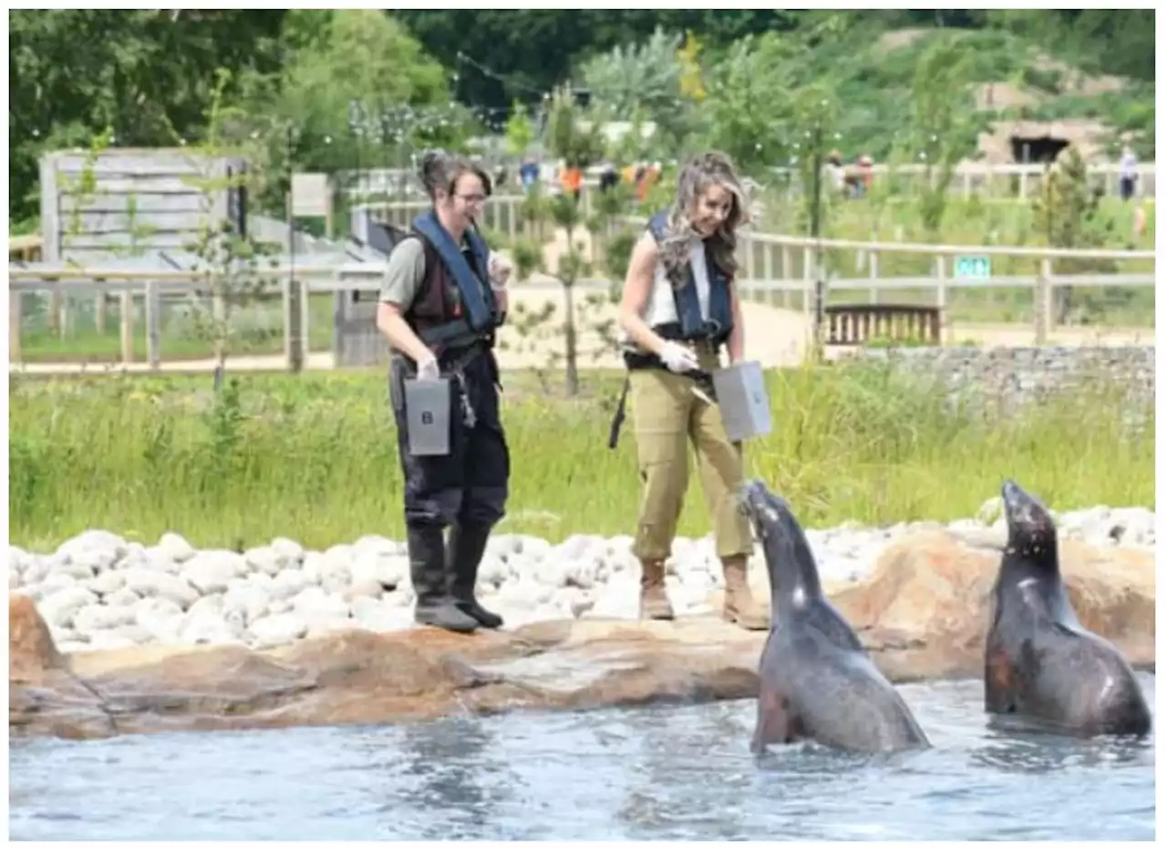 Yorkshire Wildlife Park: More jobs at risk as visitor attraction plans redundancies