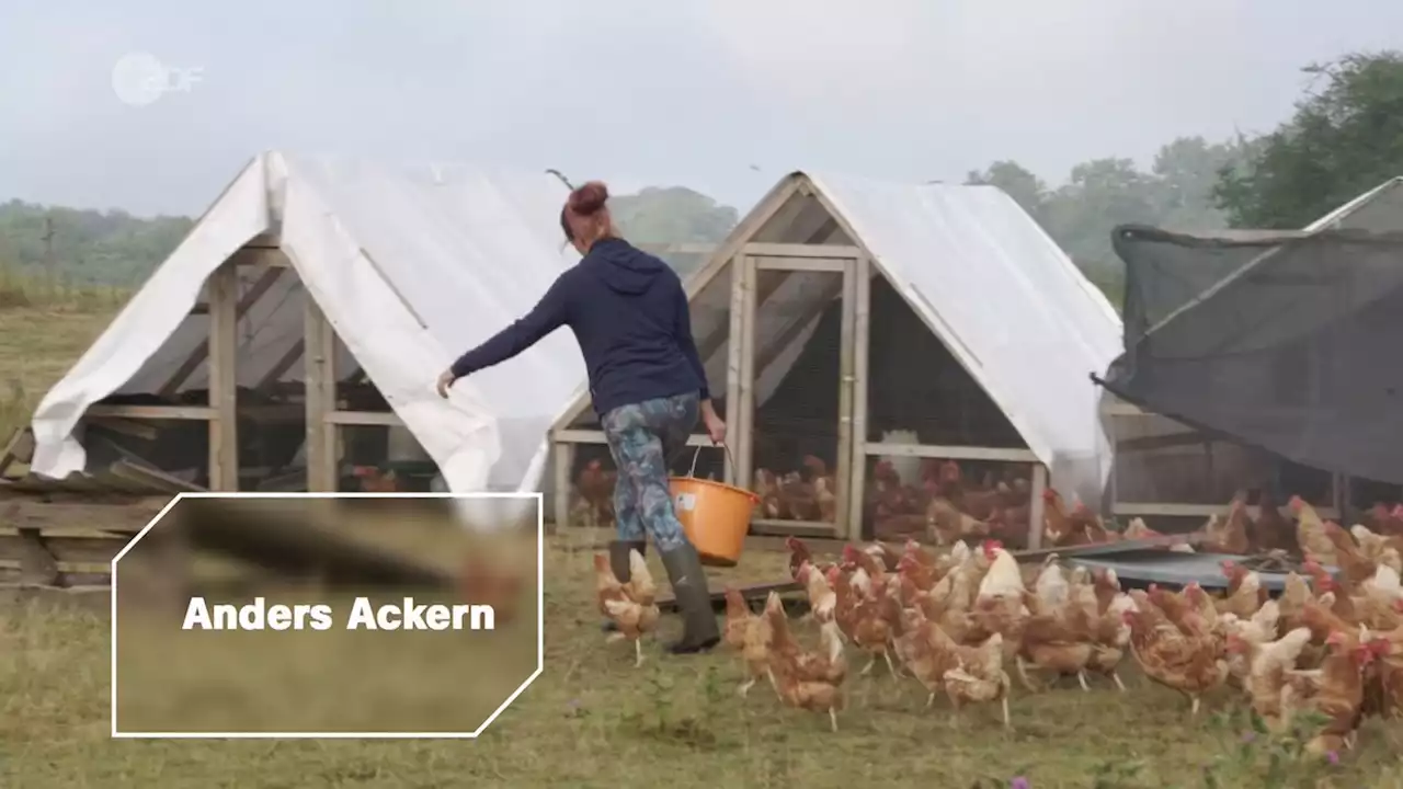 37°Leben: Anders ackern - Nächste Generation