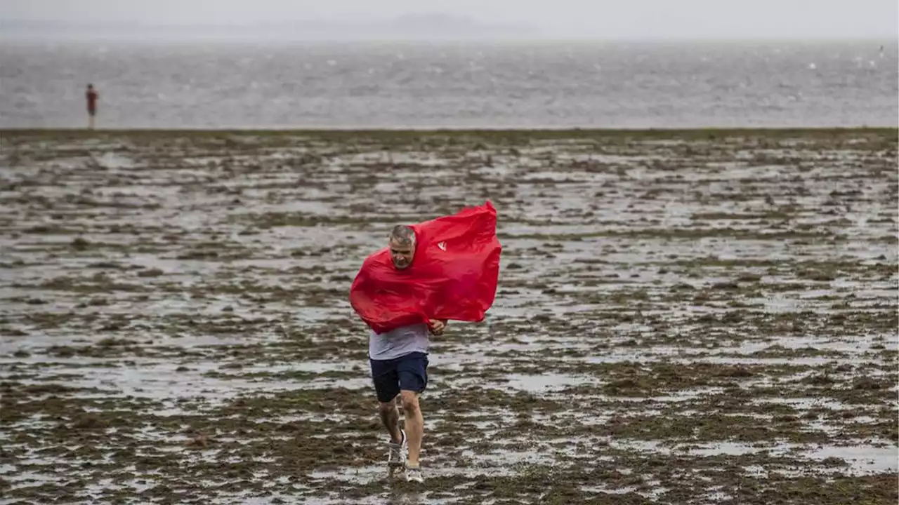 Water drains from Tampa Bay from Ian's winds, then refills