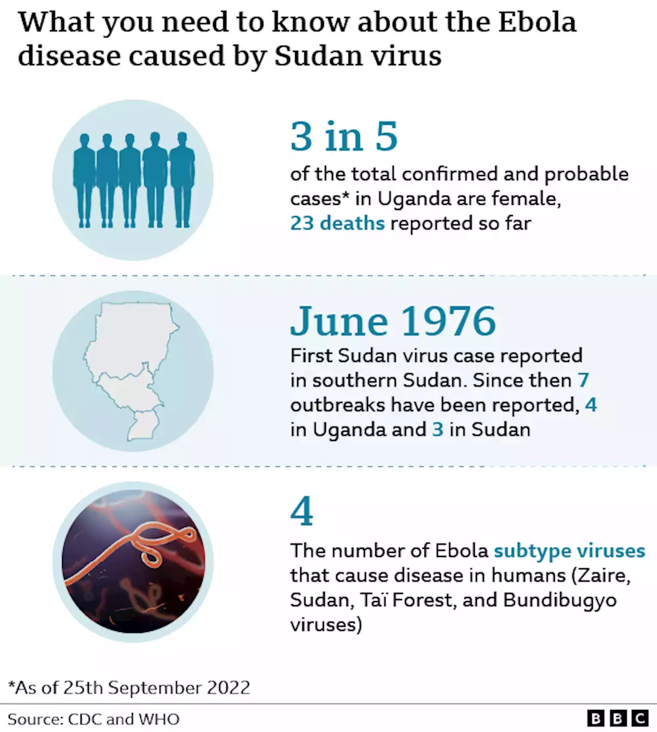 Africa Live: Uganda rules out lockdown to contain Ebola - BBC News