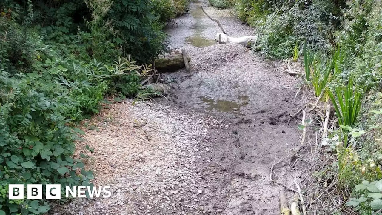 Water demand and weather blamed for dried-up Cambridge brook