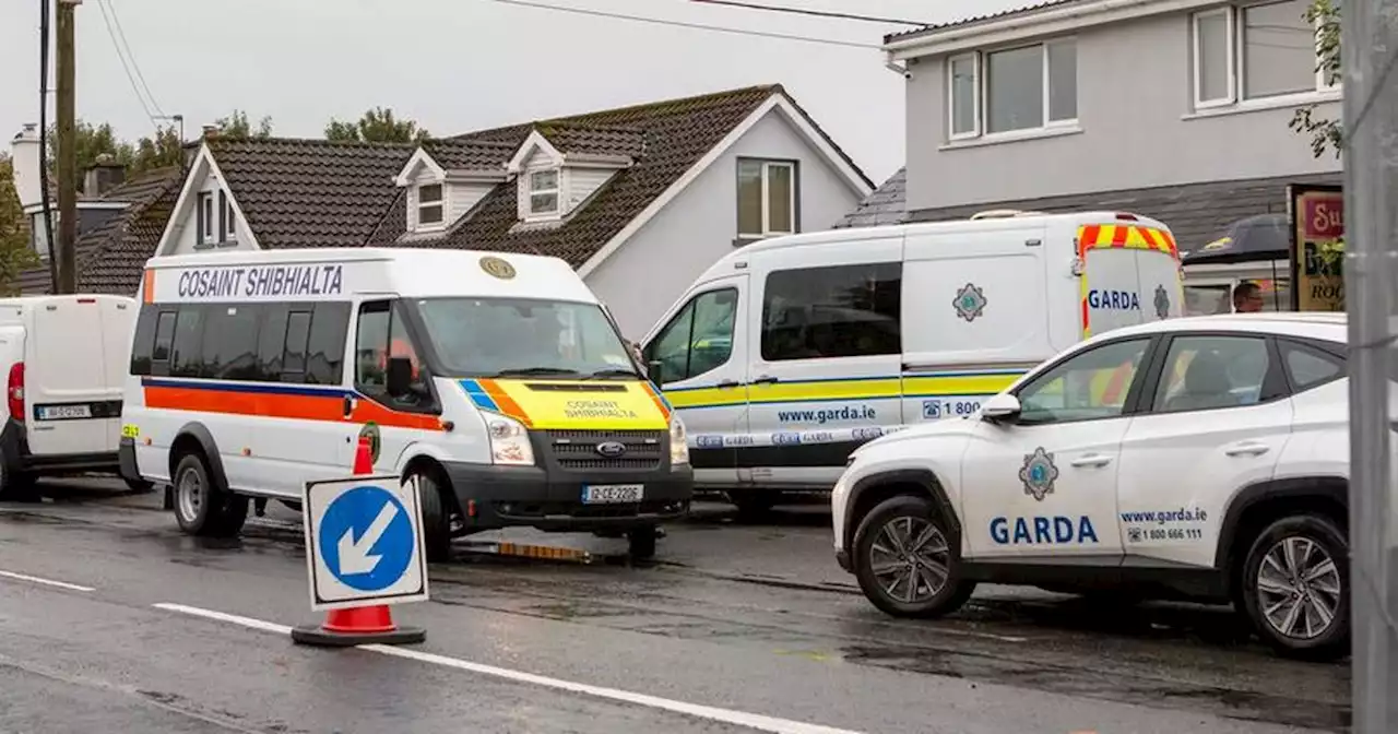 Screaming alerted gardai to scene as latest given on young girl stabbed 75 times