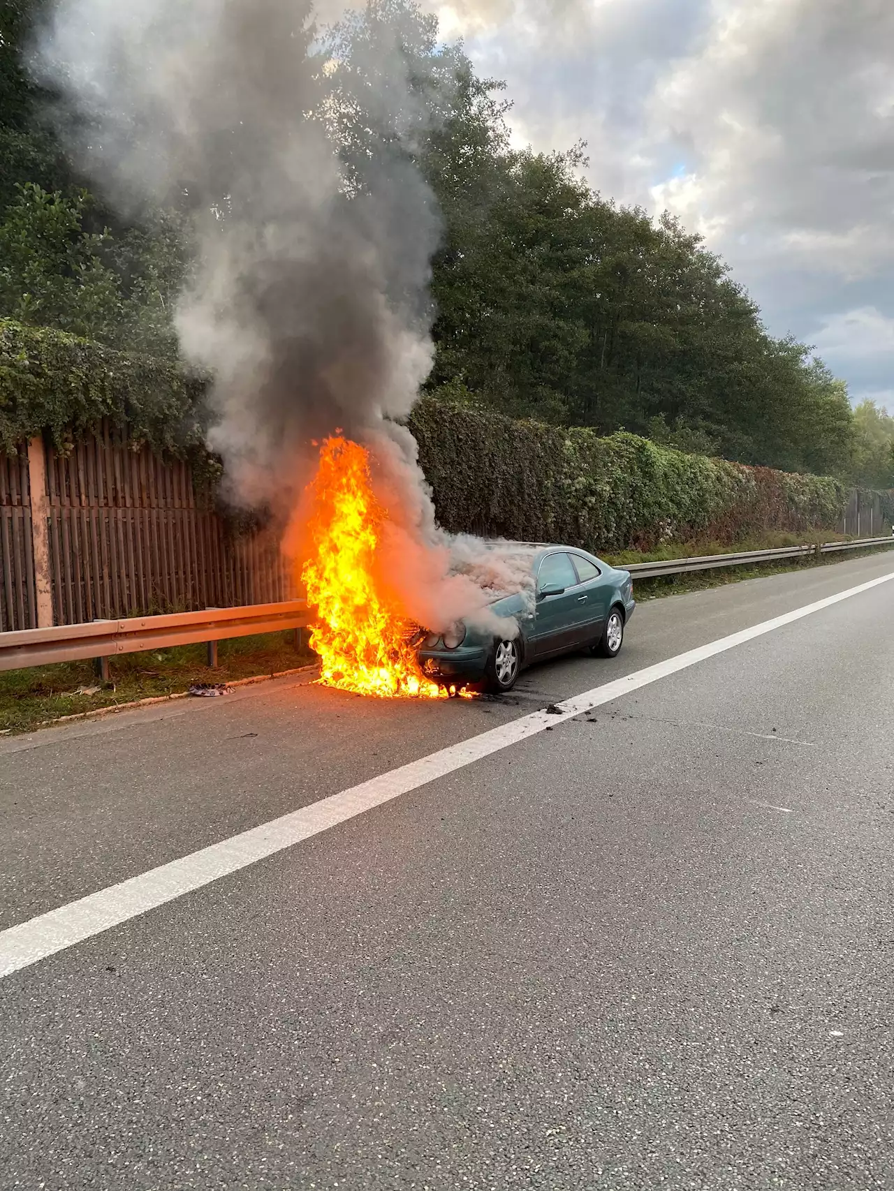 A93: Mutter und Sohn liefern sich betrunken Autorennen