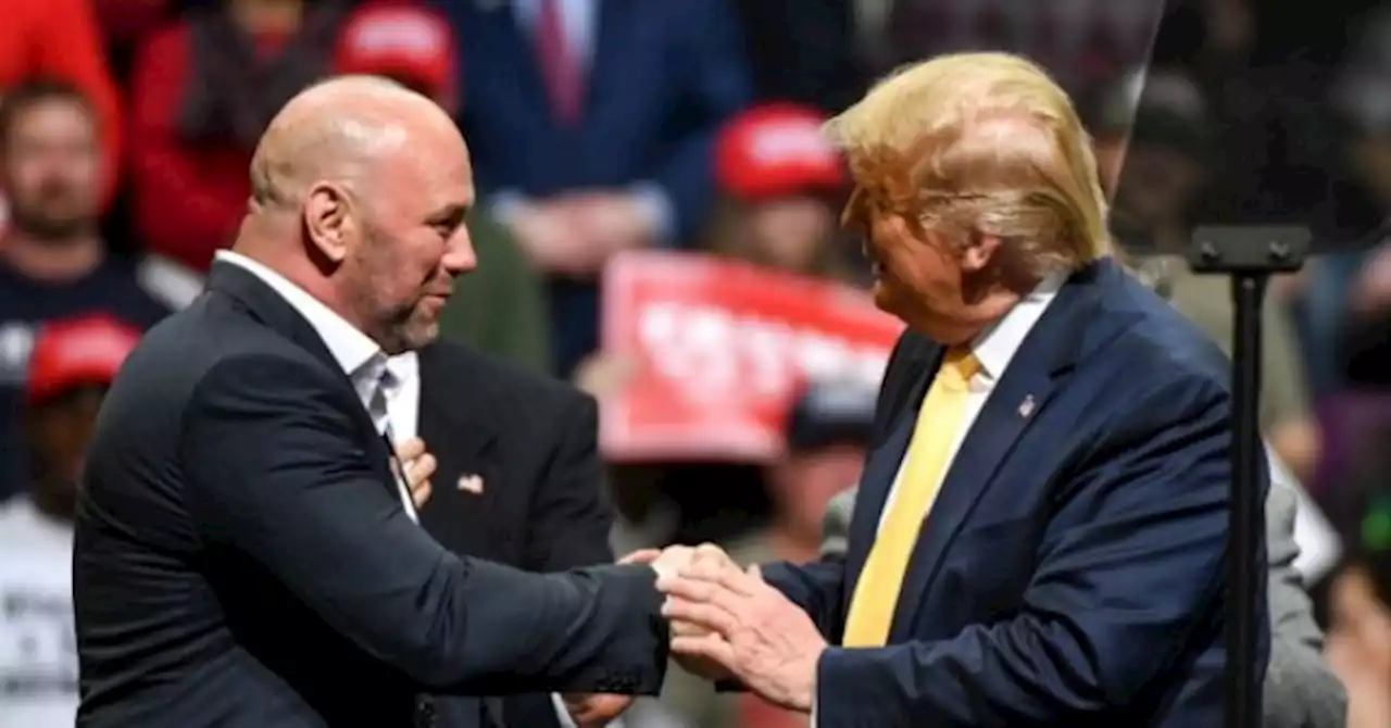 WATCH: UFC Boss Dana White Praises Donald Trump: 'I Love Him'