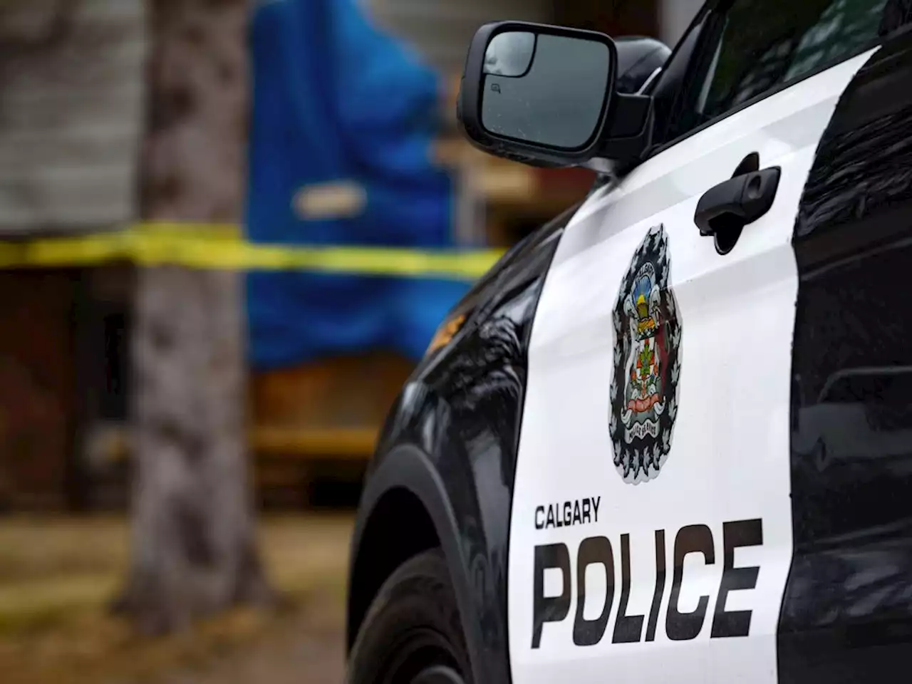 Calgary police on board in principle with Ottawa gun buy-back plan