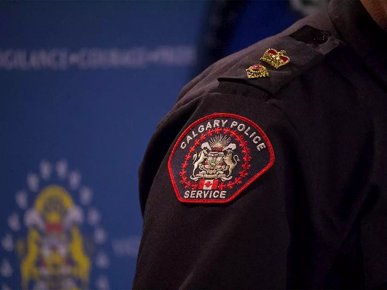 Calgary police on board in principle with Ottawa gun buy-back plan