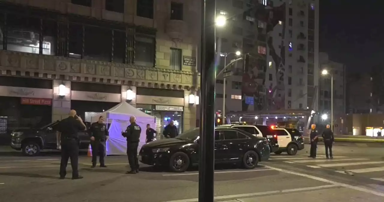 DUI crash kills man, 3 dogs in downtown Los Angeles