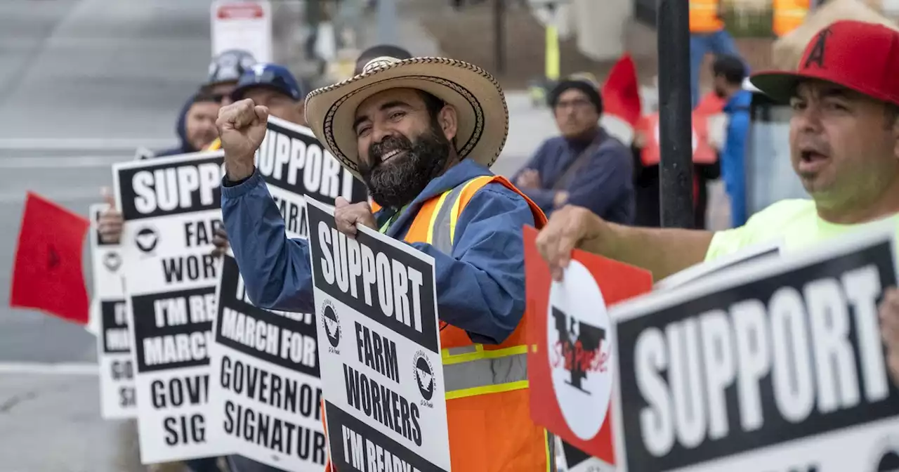 'Incredible Victory': California Gov. Newsom Signs Farmworker Unionization Bill Into Law