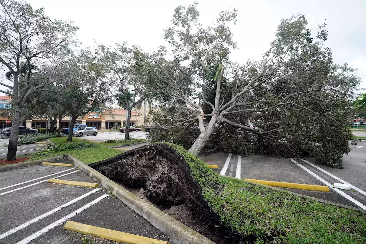 Hurrikan 'Ian' - Zwei Millionen Haushalte in Florida ohne Strom