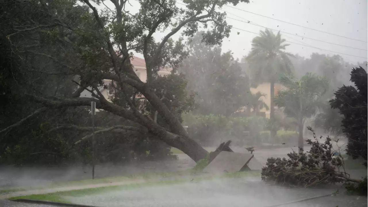 Hurricane Ian impact: Major cell phone carriers working to provide service to Florida customers