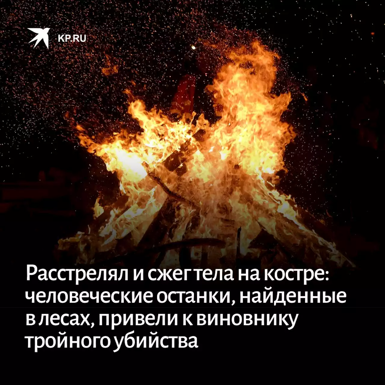 Расстрелял и сжег тела на костре: человеческие останки, найденные в лесах, привели к виновнику тройного убийства