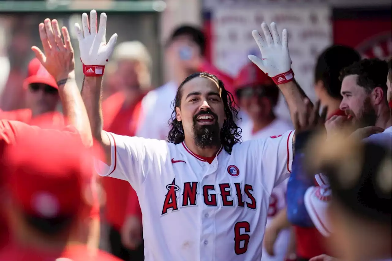 Angels activate Anthony Rendon to serve suspension, play final 3 games