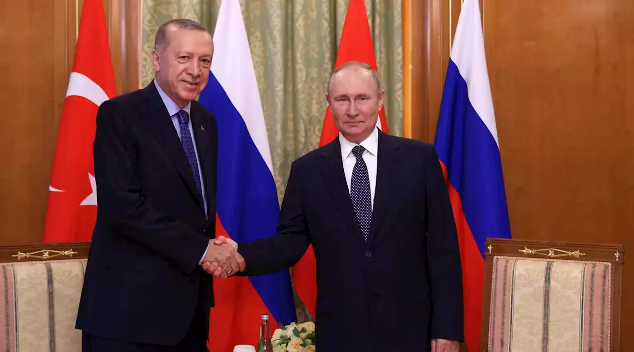 Ucraina, Erdogan a Putin: 'Referendum ha aumentato le tensioni'