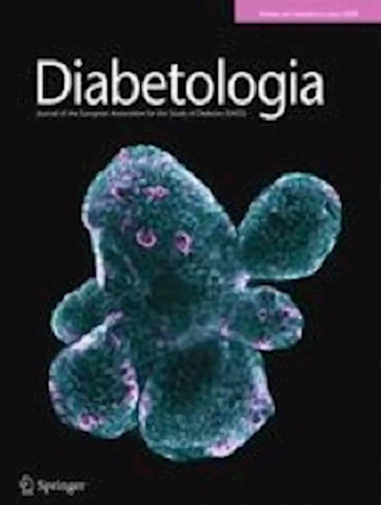 Loneliness increases the risk of type 2 diabetes: a 20 year follow-up – results from the HUNT study - Diabetologia