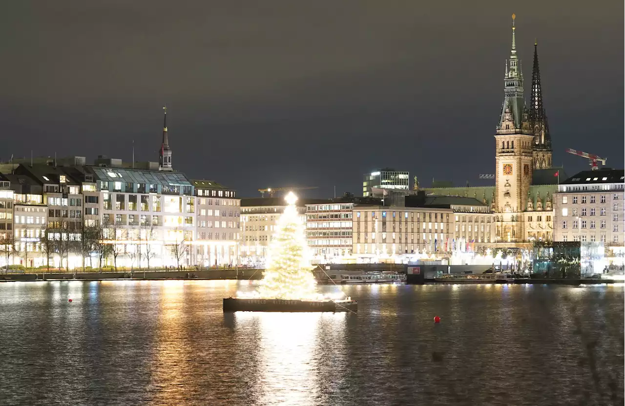 Trotz Krise: Hamburgs Alstertanne soll leuchten – mit einer Änderung