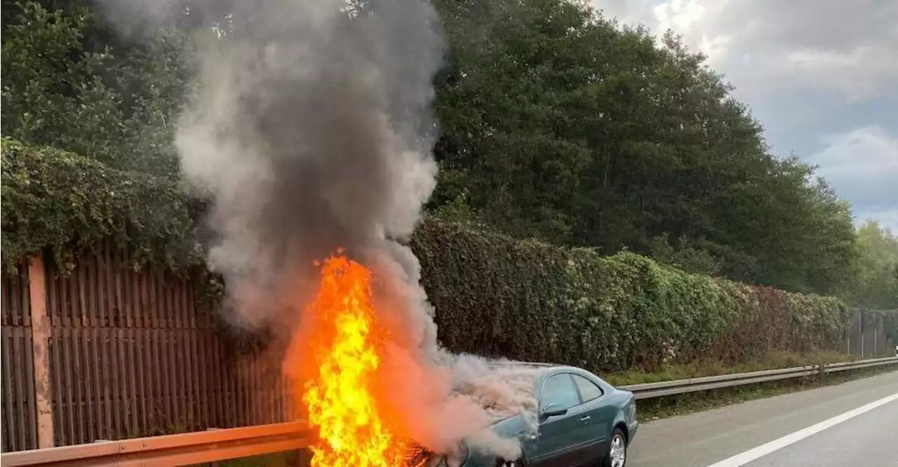 Betrunkenes Mutter-Sohn-Gespann fährt gegeneinander Rennen auf der A93 bei Weiden