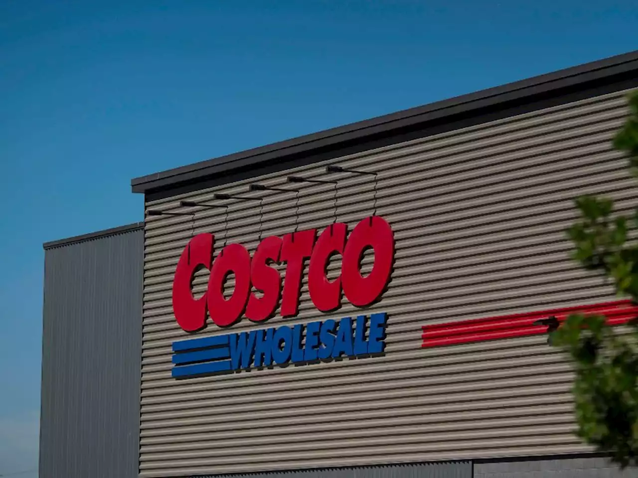 Hotdog and soda combo to stay $1.50 ‘forever’: Costco CFO