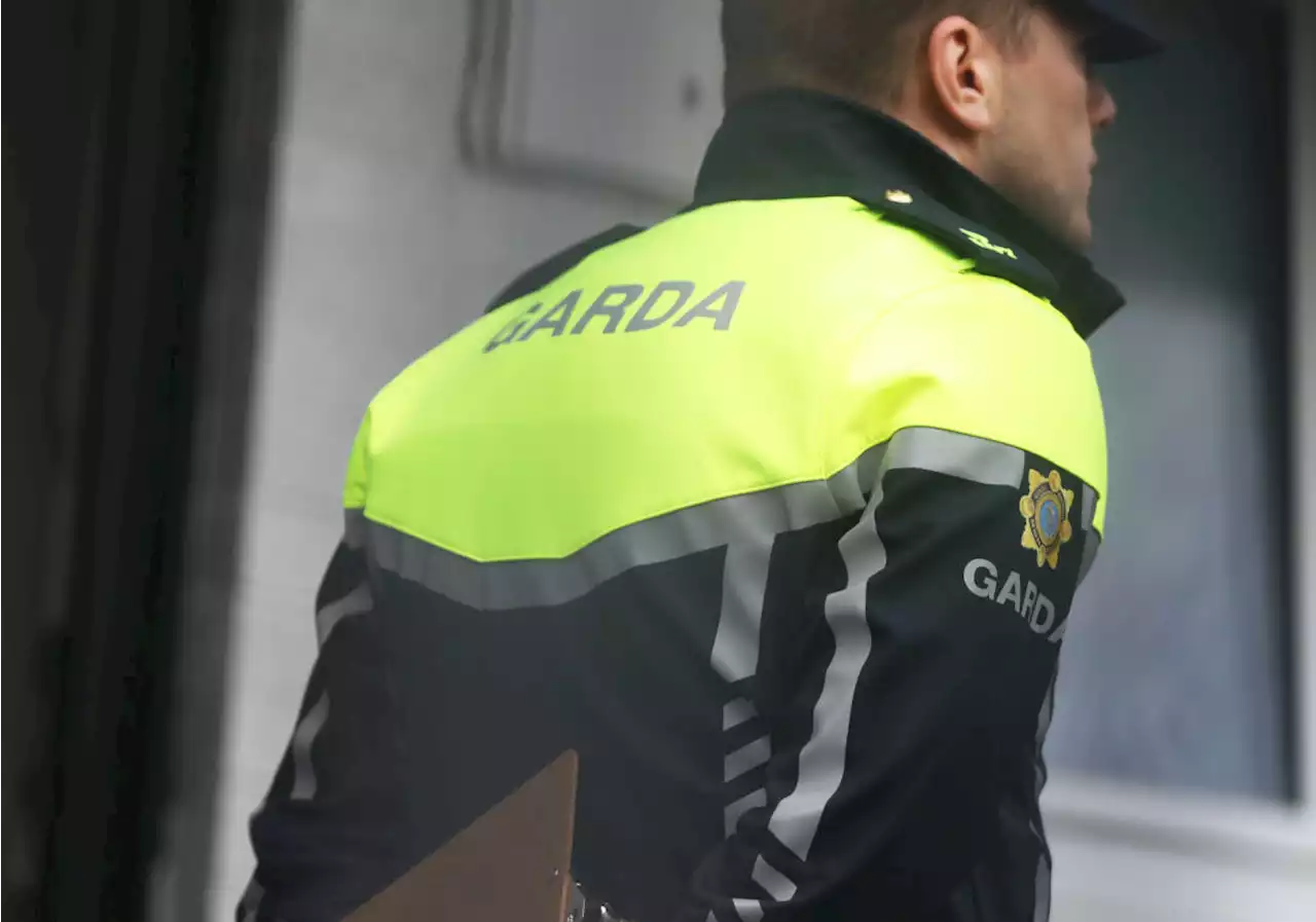 Renewed calls for mandatory sentences for Garda assaults